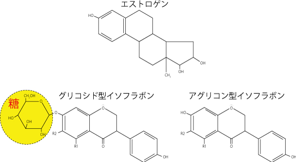 イソフラボン、危険、内分泌かく乱物質、ホルモン異常